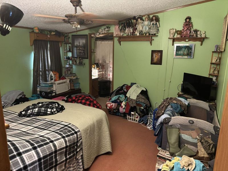 1823 Liberty Ridge Road, Falmouth, KY 41040 Photo 9