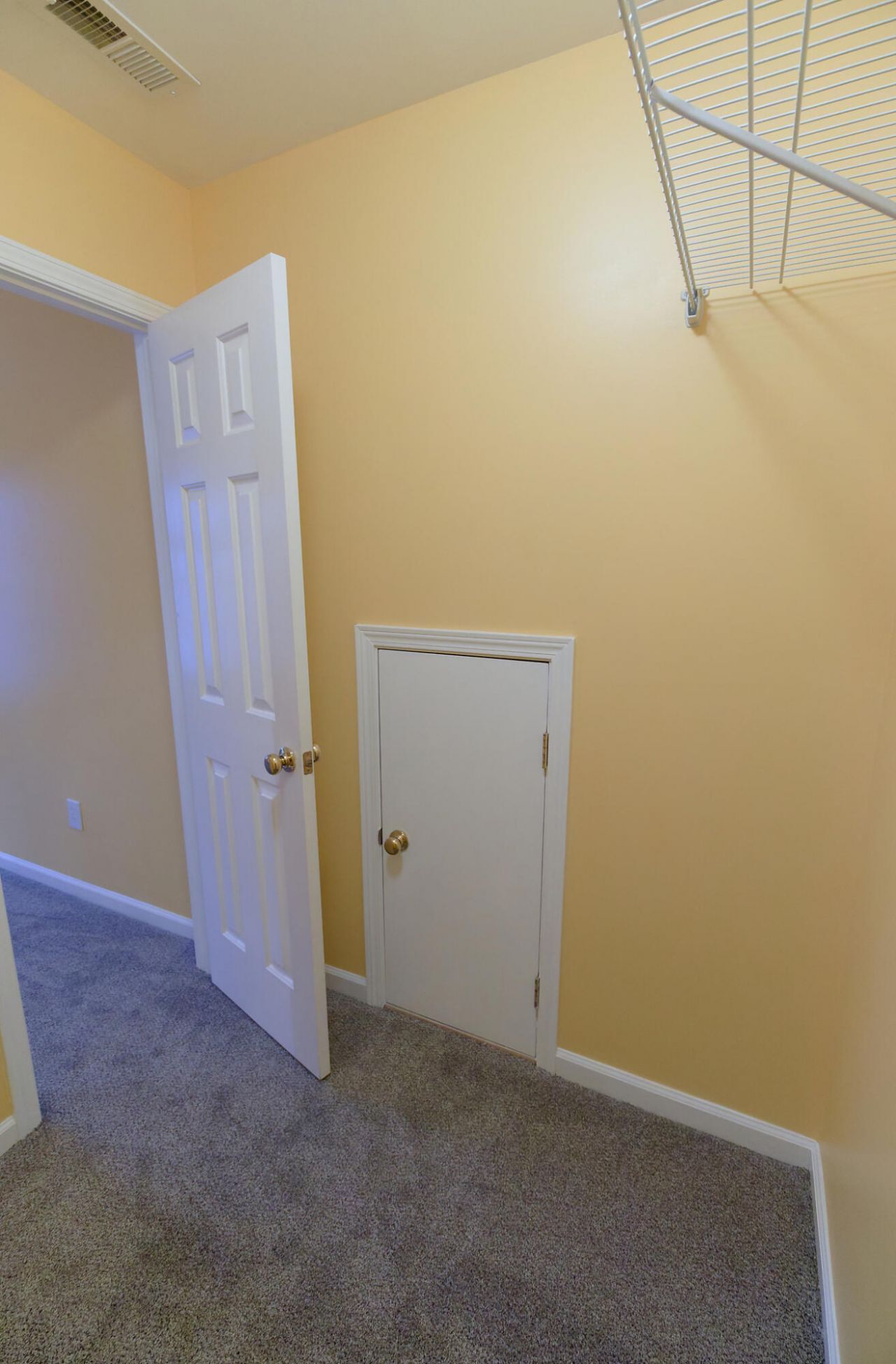 274 Sweet Alyssum Drive Photo 36