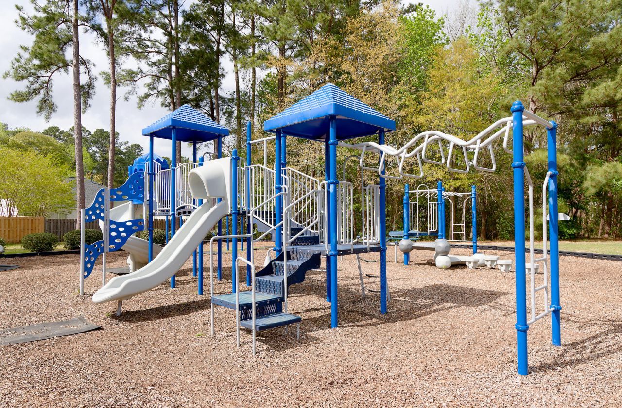 274 Sweet Alyssum Drive Photo 42