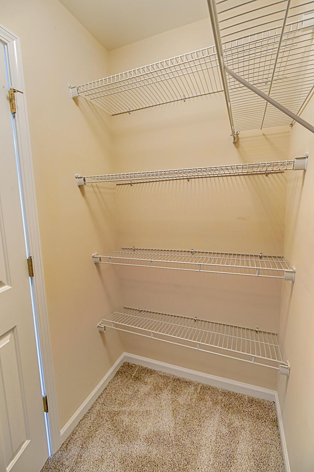 274 Sweet Alyssum Drive Photo 47