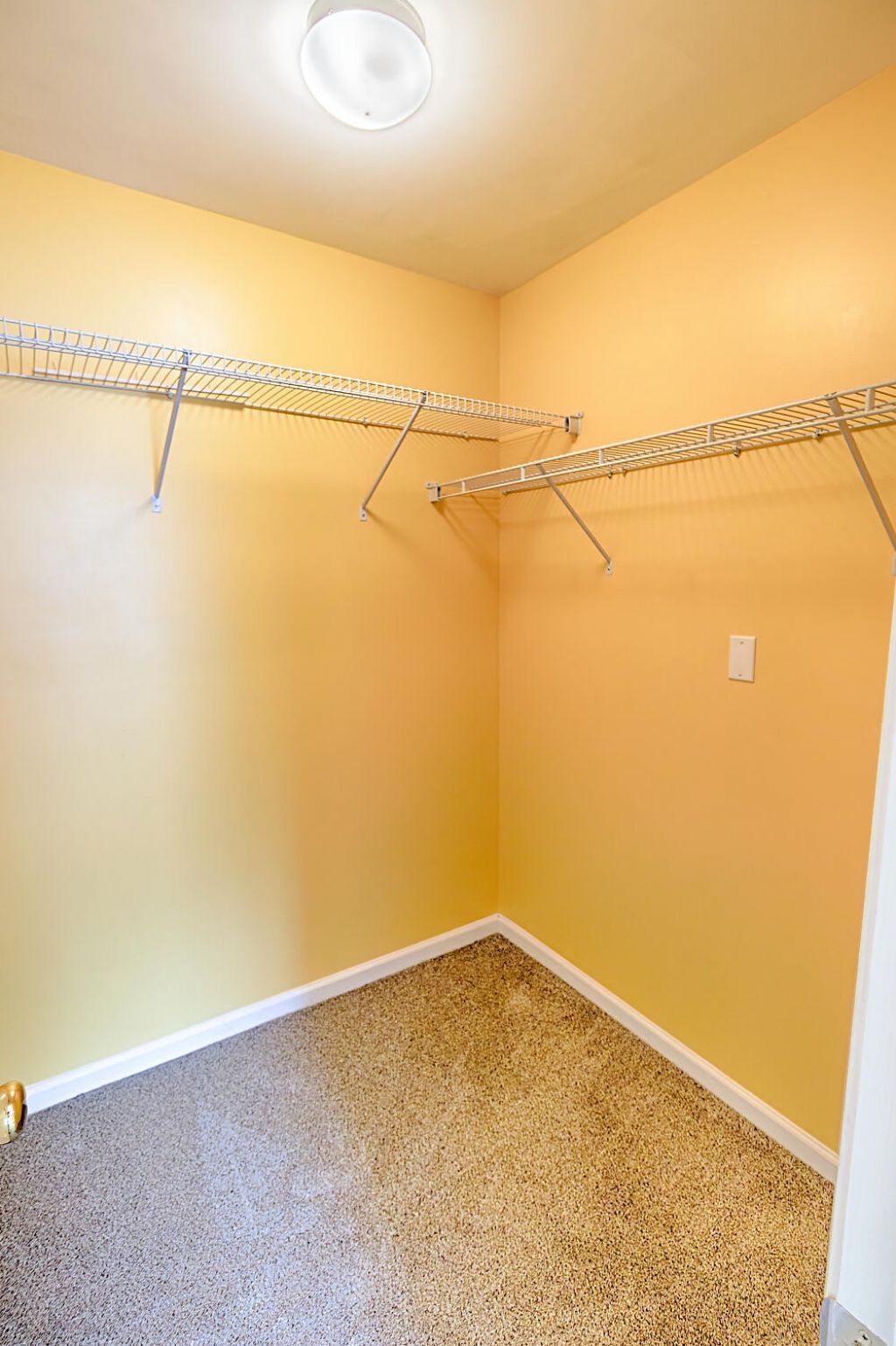 274 Sweet Alyssum Drive Photo 49