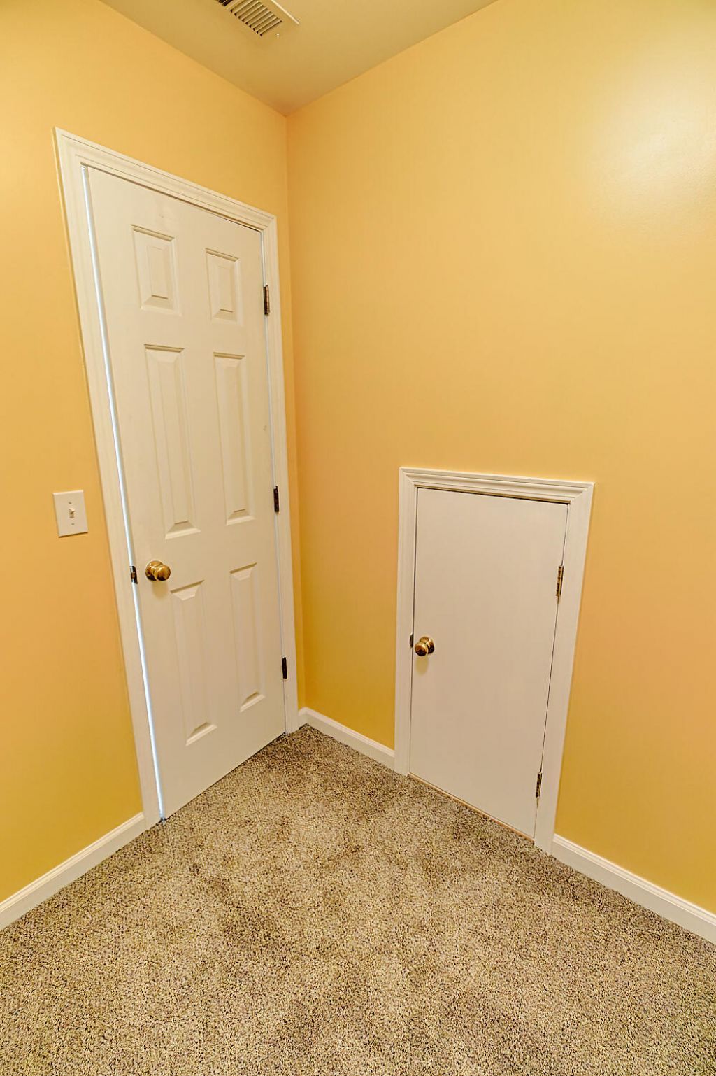 274 Sweet Alyssum Drive Photo 50