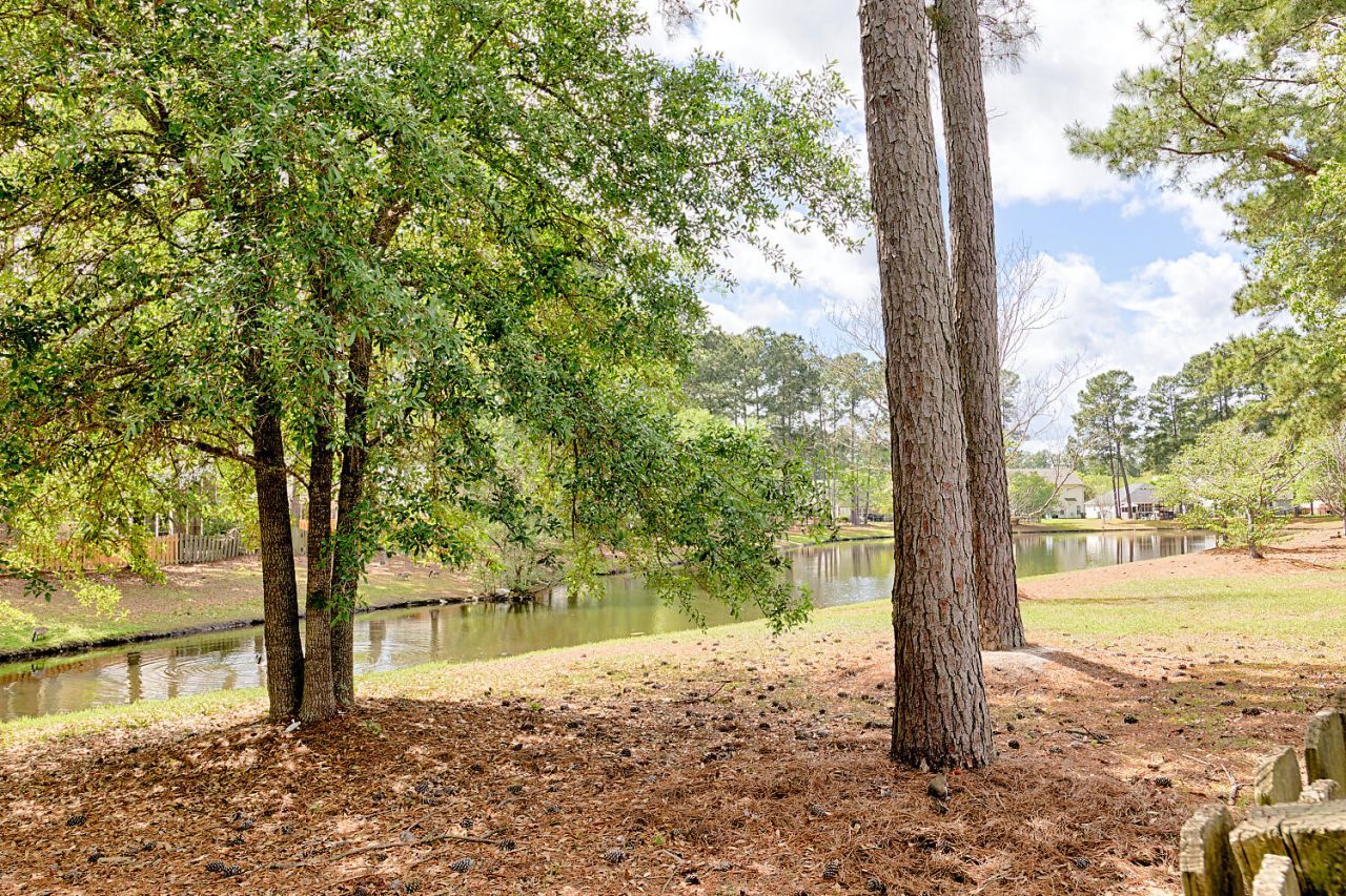 274 Sweet Alyssum Drive Photo 54