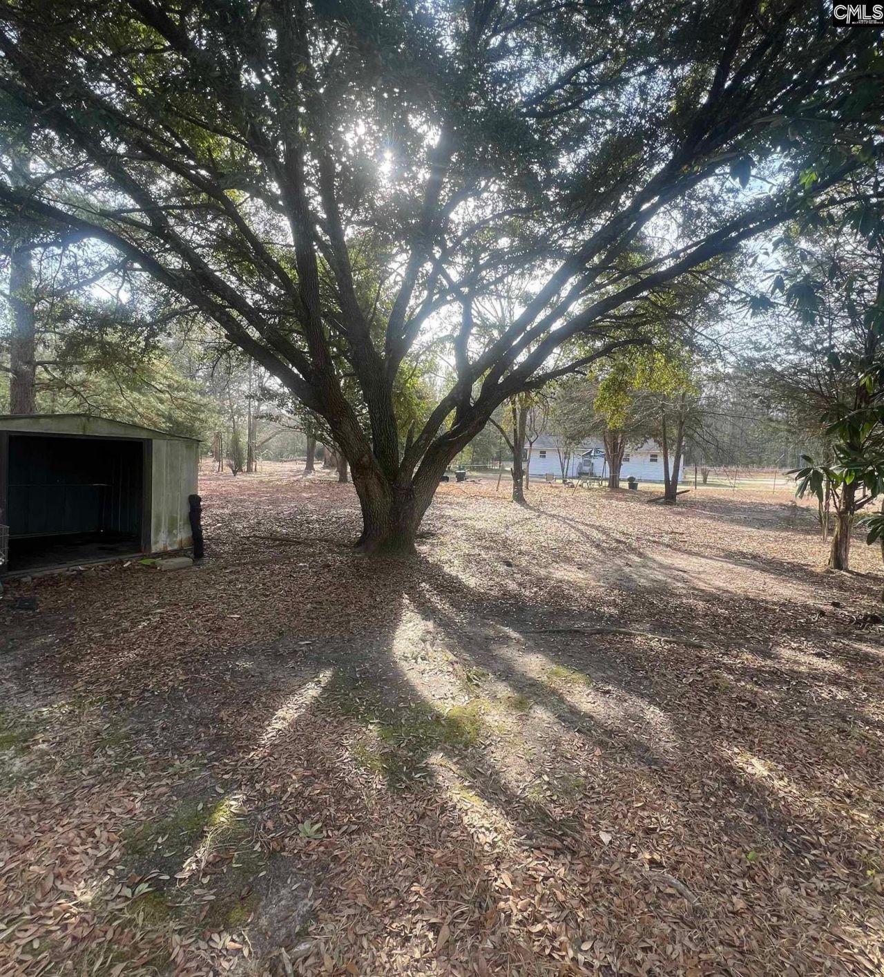 215 Doby St. Photo 14