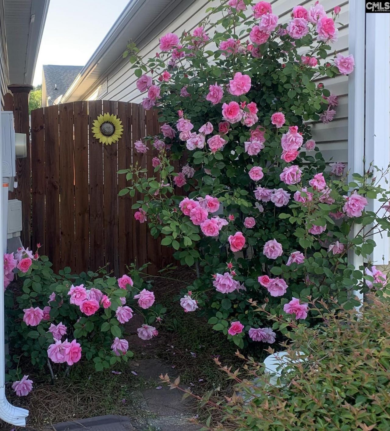 301 Baltica Lane  Photo 23