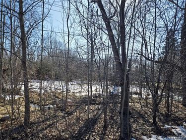 3312 Love Road, Grand Island, NY 14072