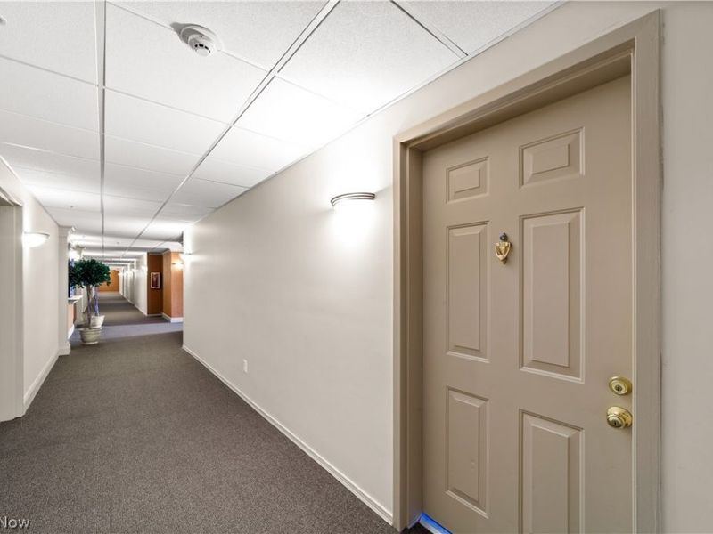 220 Fox Hollow Drive, Mayfield Heights, OH 44124 Photo 4