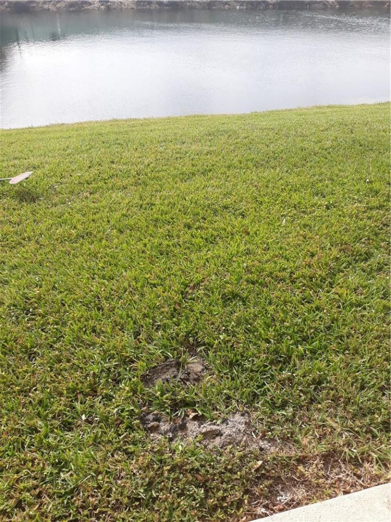 9082 Plymouth Place, Unit 9082, Tamarac, FL 33321 Photo