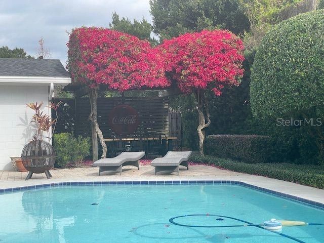 628 Dunblane Drive , Winter Park, FL 32792 Photo