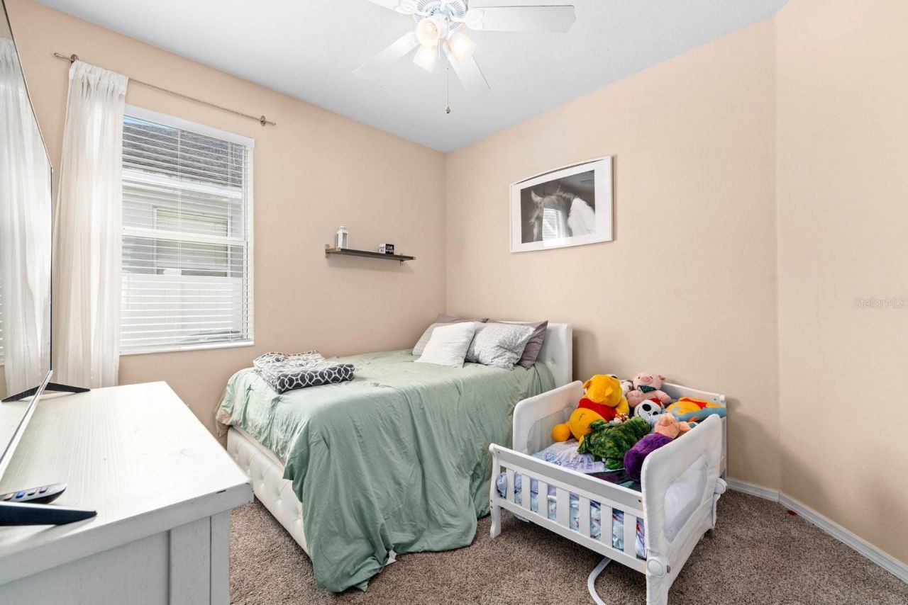 10207 Avelar Ridge Drive, Riverview, FL 33578 Photo