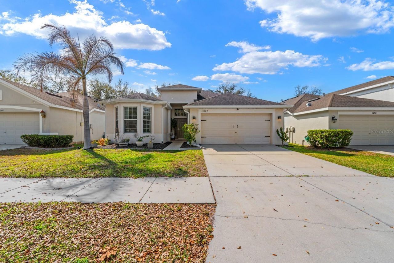 10207 Avelar Ridge Drive, Riverview, FL 33578 Photo