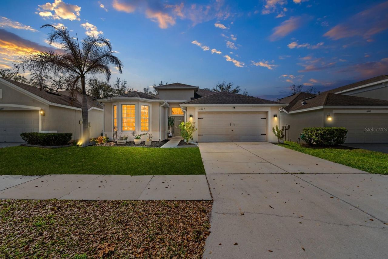 10207 Avelar Ridge Drive, Riverview, FL 33578 Photo