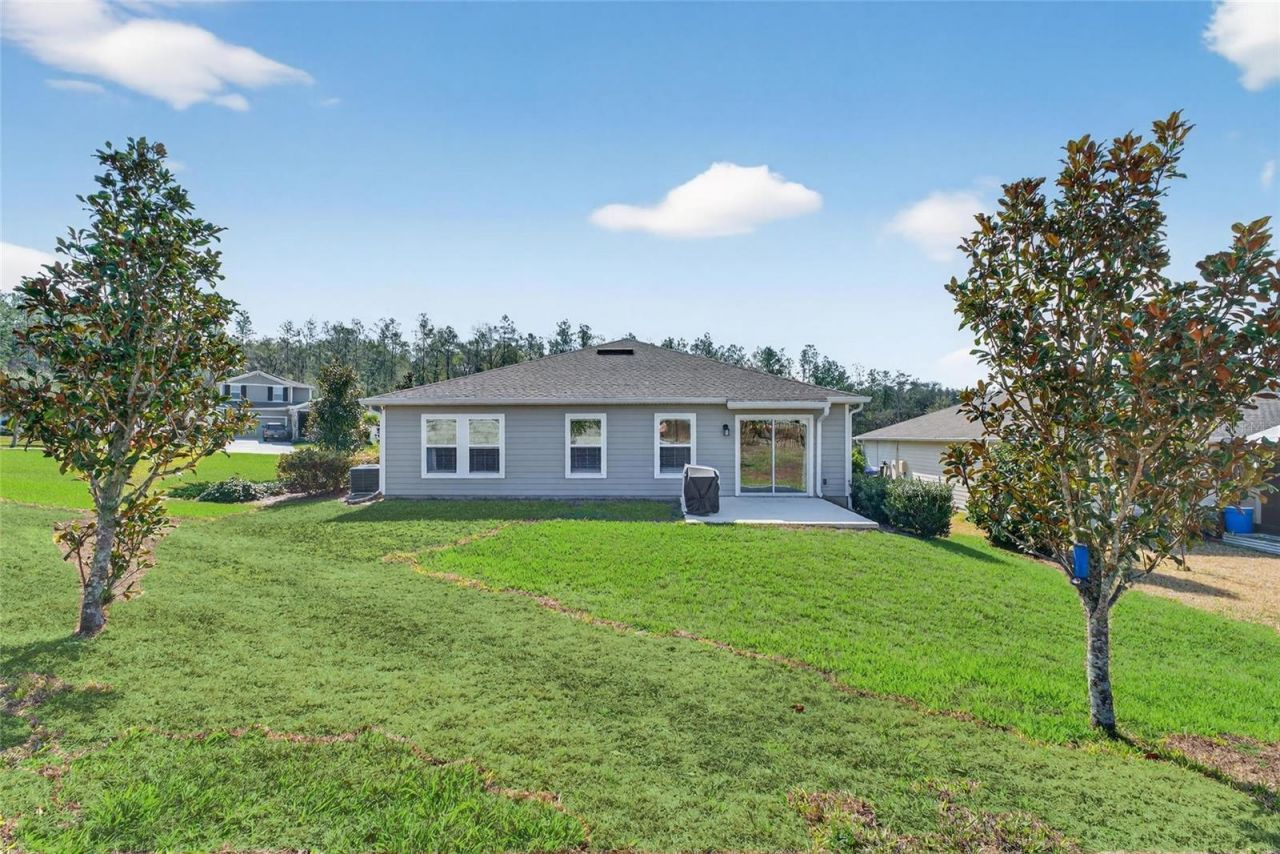 4773 Magnetite Loop , Mount Dora, FL 32757 Photo