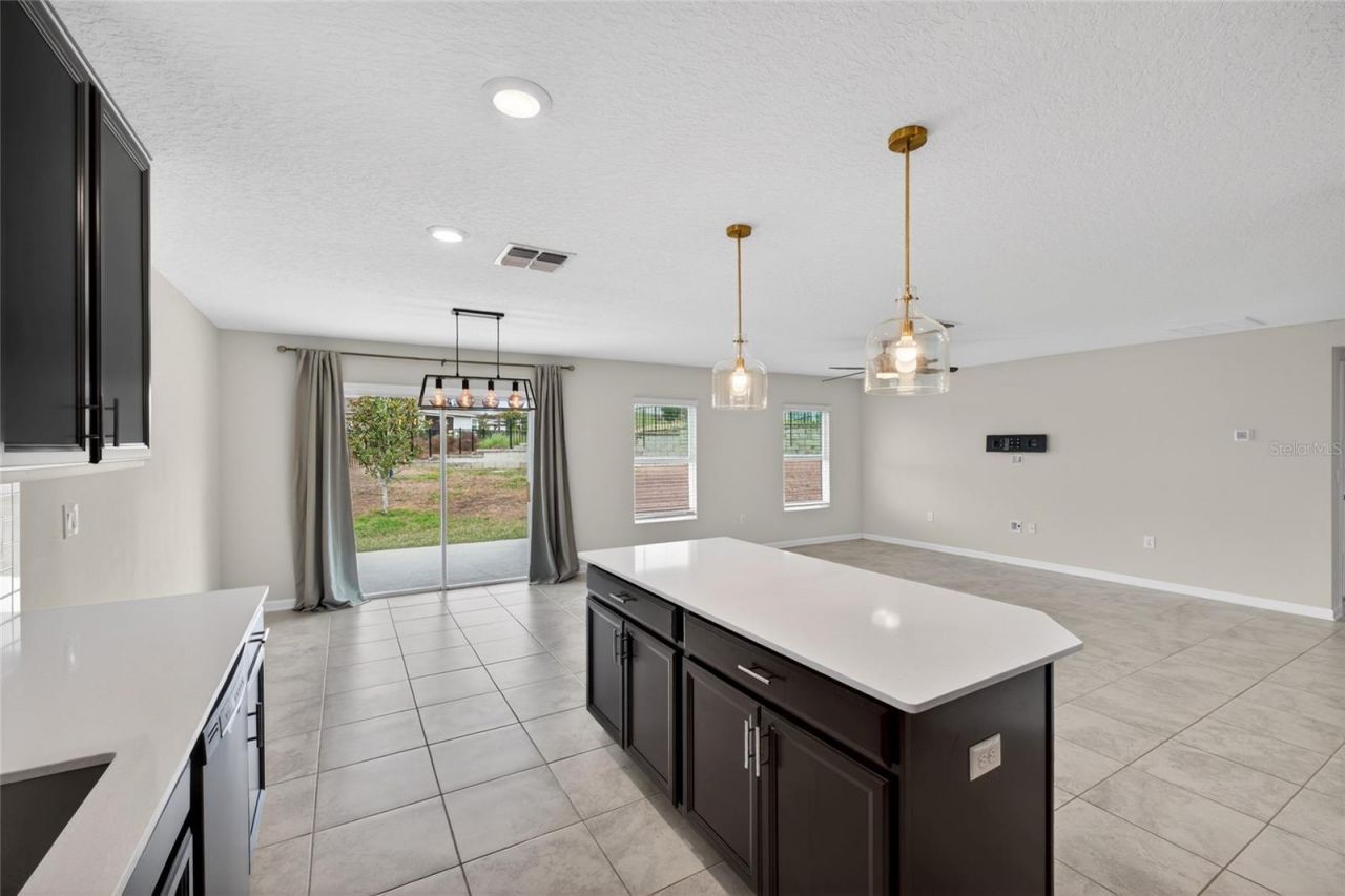 4773 Magnetite Loop , Mount Dora, FL 32757 Photo