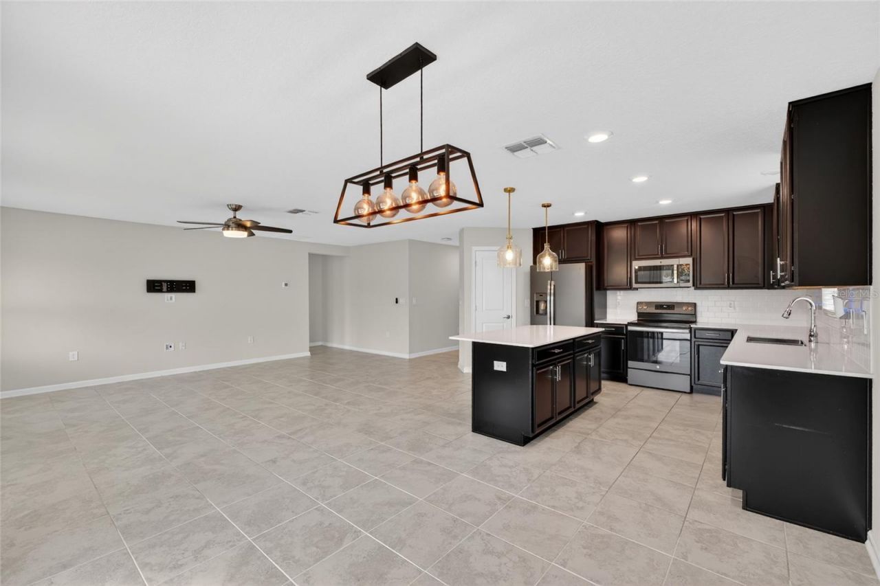 4773 Magnetite Loop , Mount Dora, FL 32757 Photo