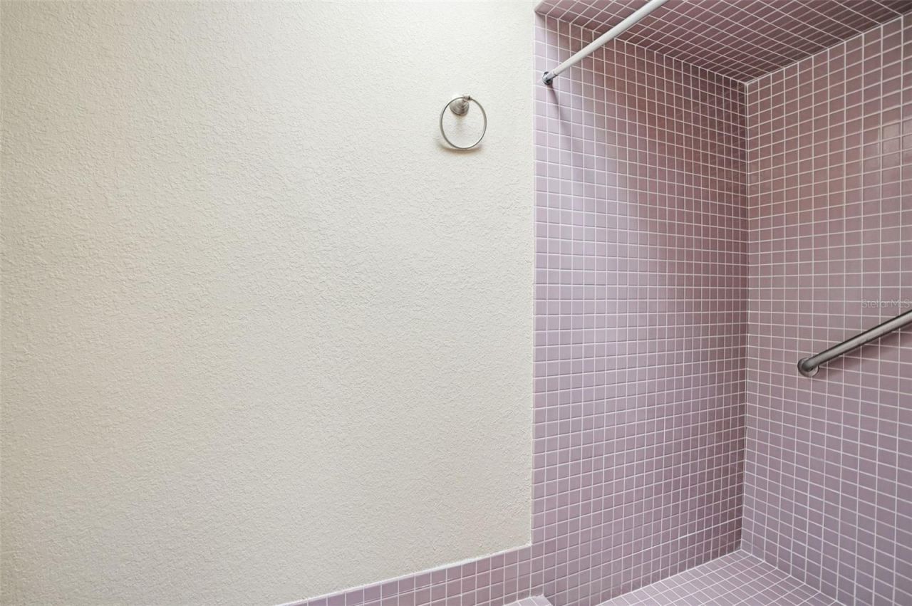 10066 Brentlawn Street, Spring Hill, FL 34608 Photo