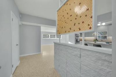 225 Halsey Street, Orlando, FL 32839 Photo