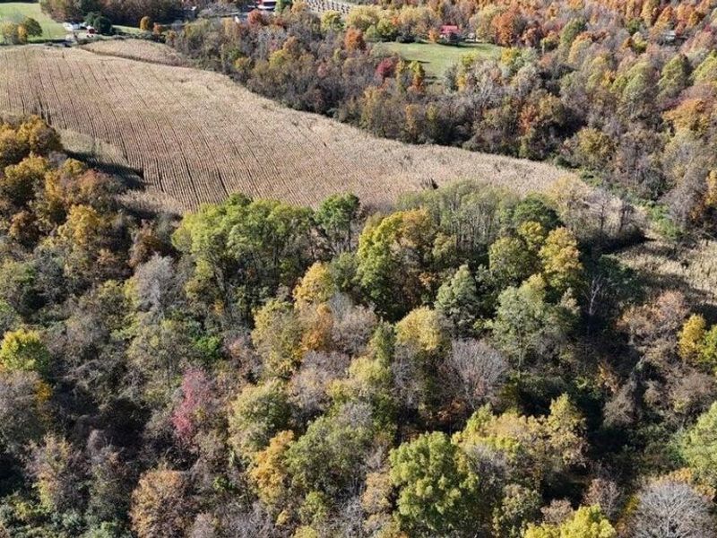 0 Tucker Road , Mount Vernon, OH 43050 Photo 7