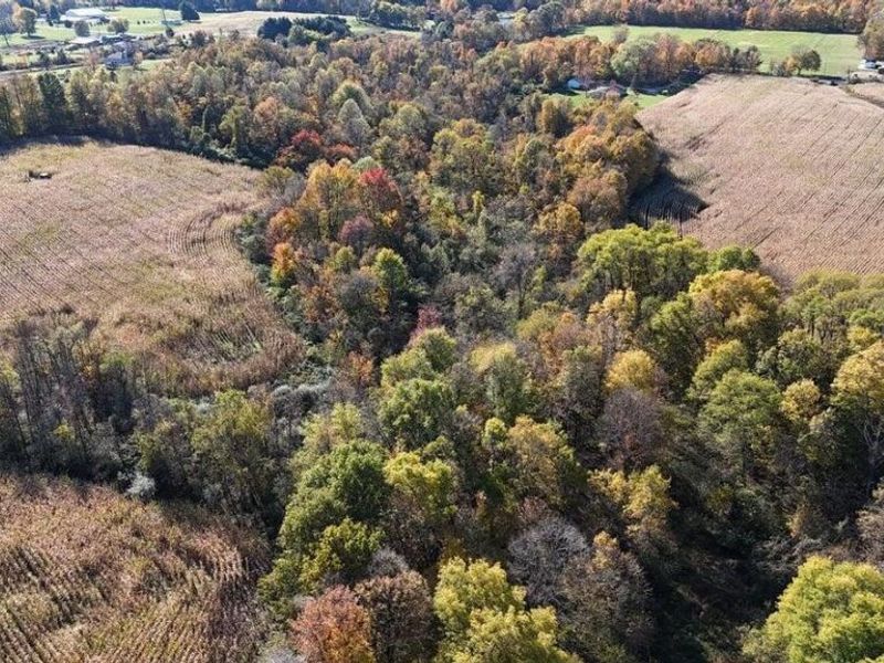 0 Tucker Road , Mount Vernon, OH 43050 Photo 8