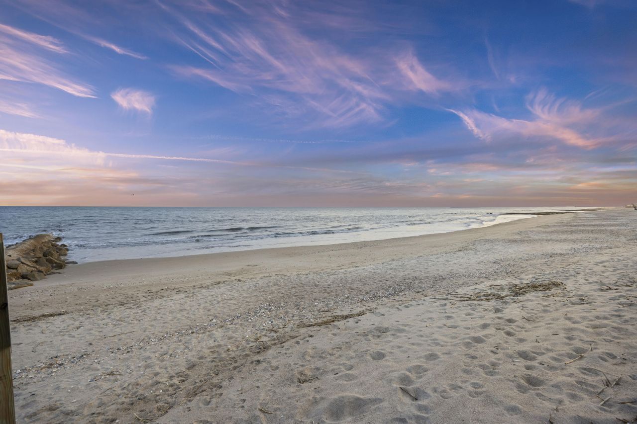 309 Palmetto Boulevard Photo 53