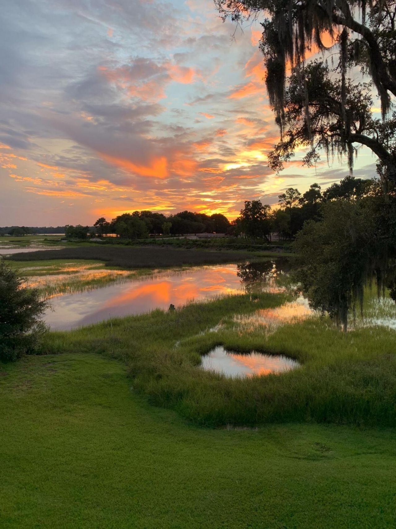 224 Old Hickory Crossing Photo 54