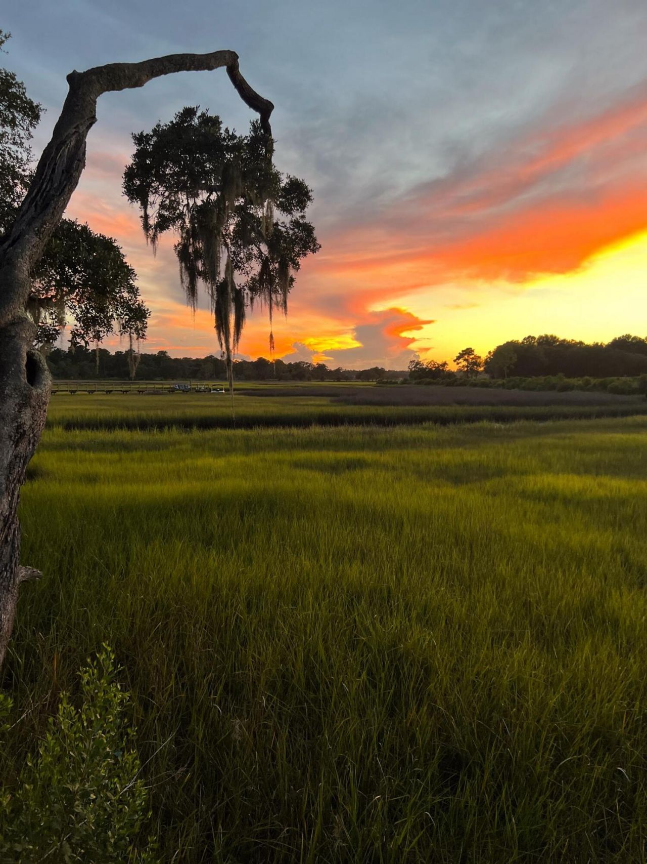 224 Old Hickory Crossing Photo 56