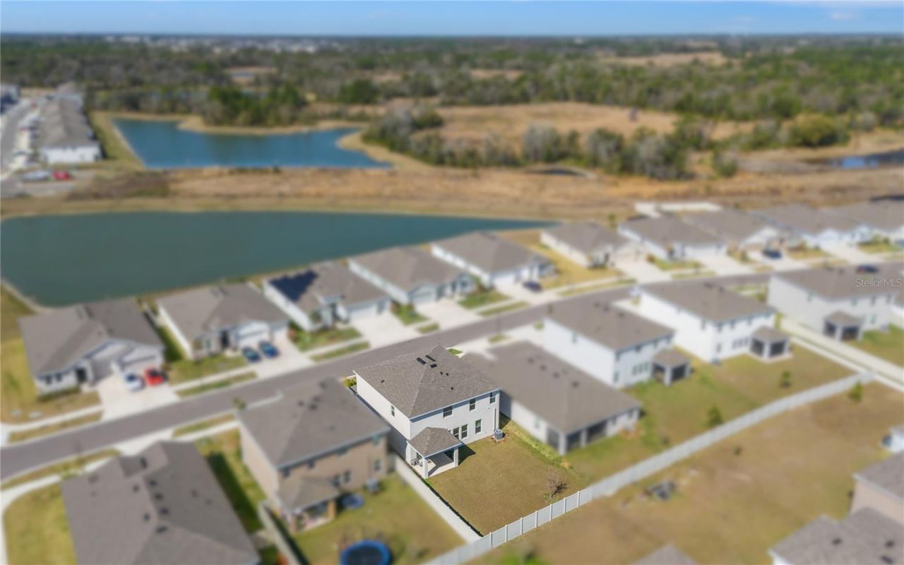 6199 Wandering Willow Drive, Wesley Chapel, FL 33545 Photo