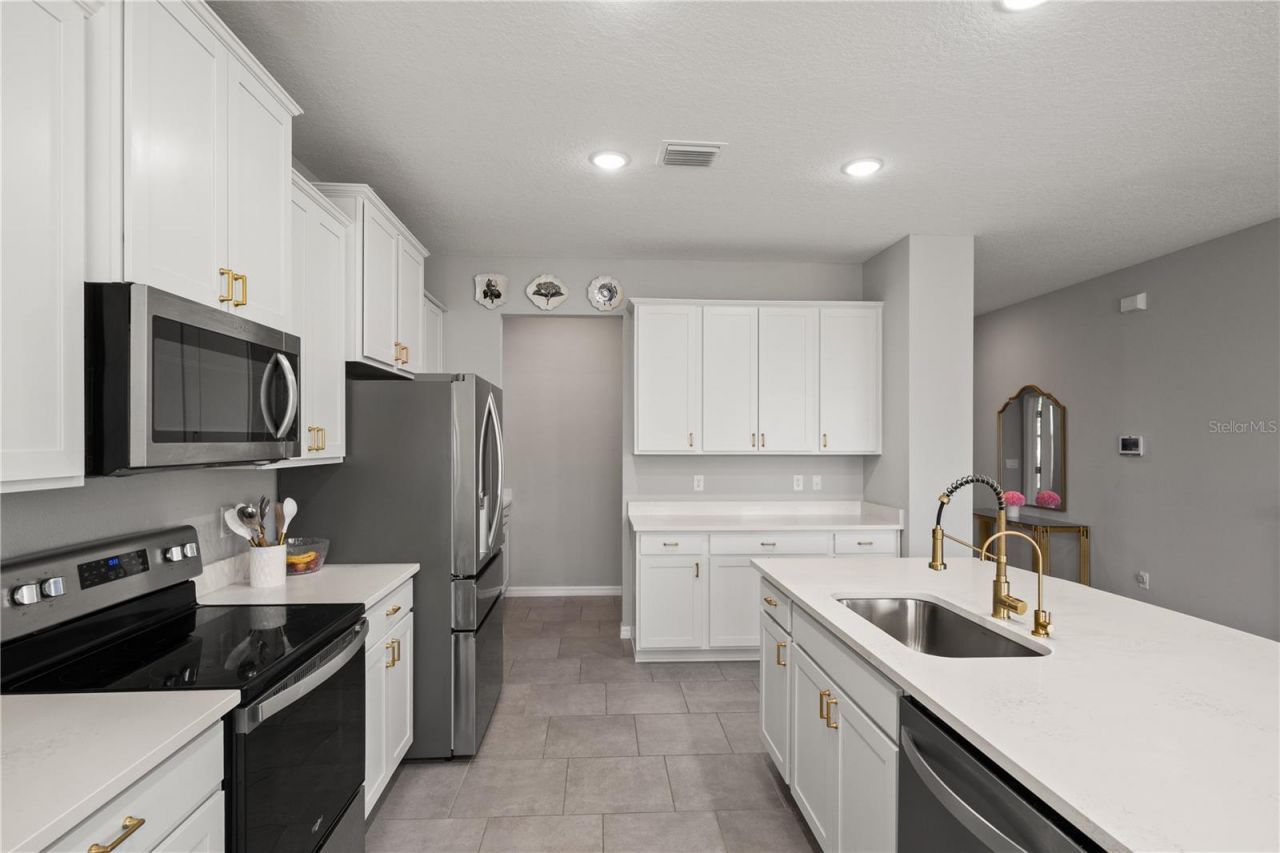 6199 Wandering Willow Drive, Wesley Chapel, FL 33545 Photo