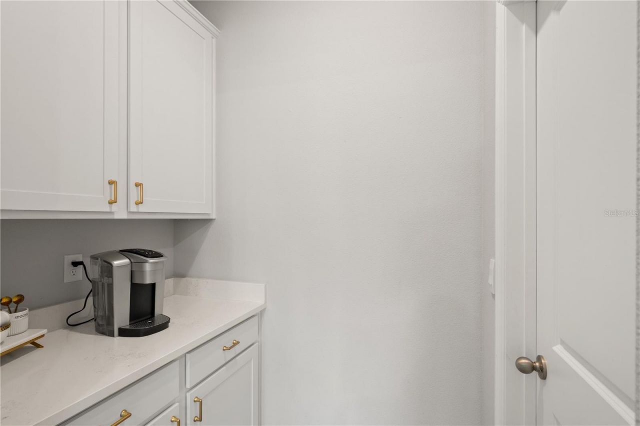 6199 Wandering Willow Drive, Wesley Chapel, FL 33545 Photo