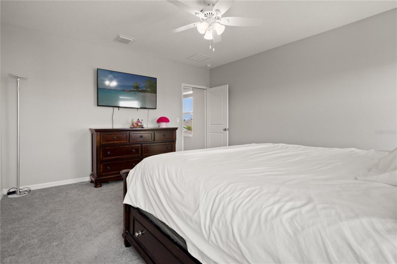 6199 Wandering Willow Drive, Wesley Chapel, FL 33545 Photo