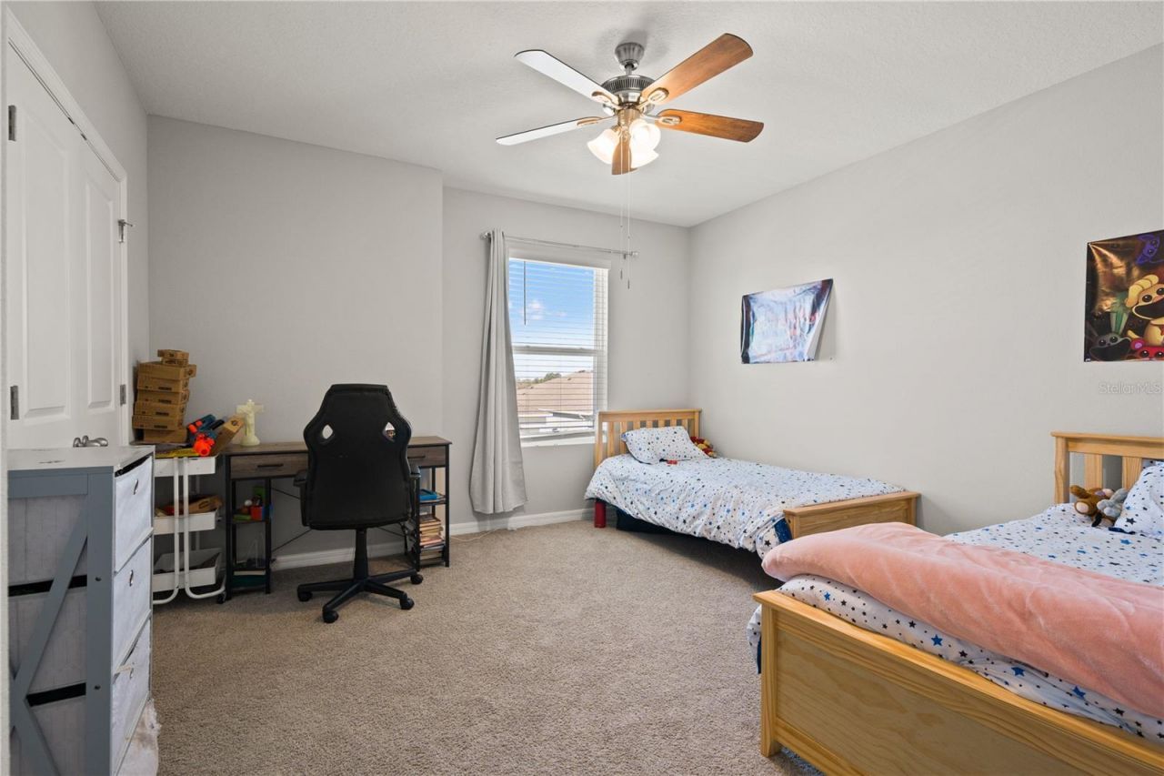 6199 Wandering Willow Drive, Wesley Chapel, FL 33545 Photo