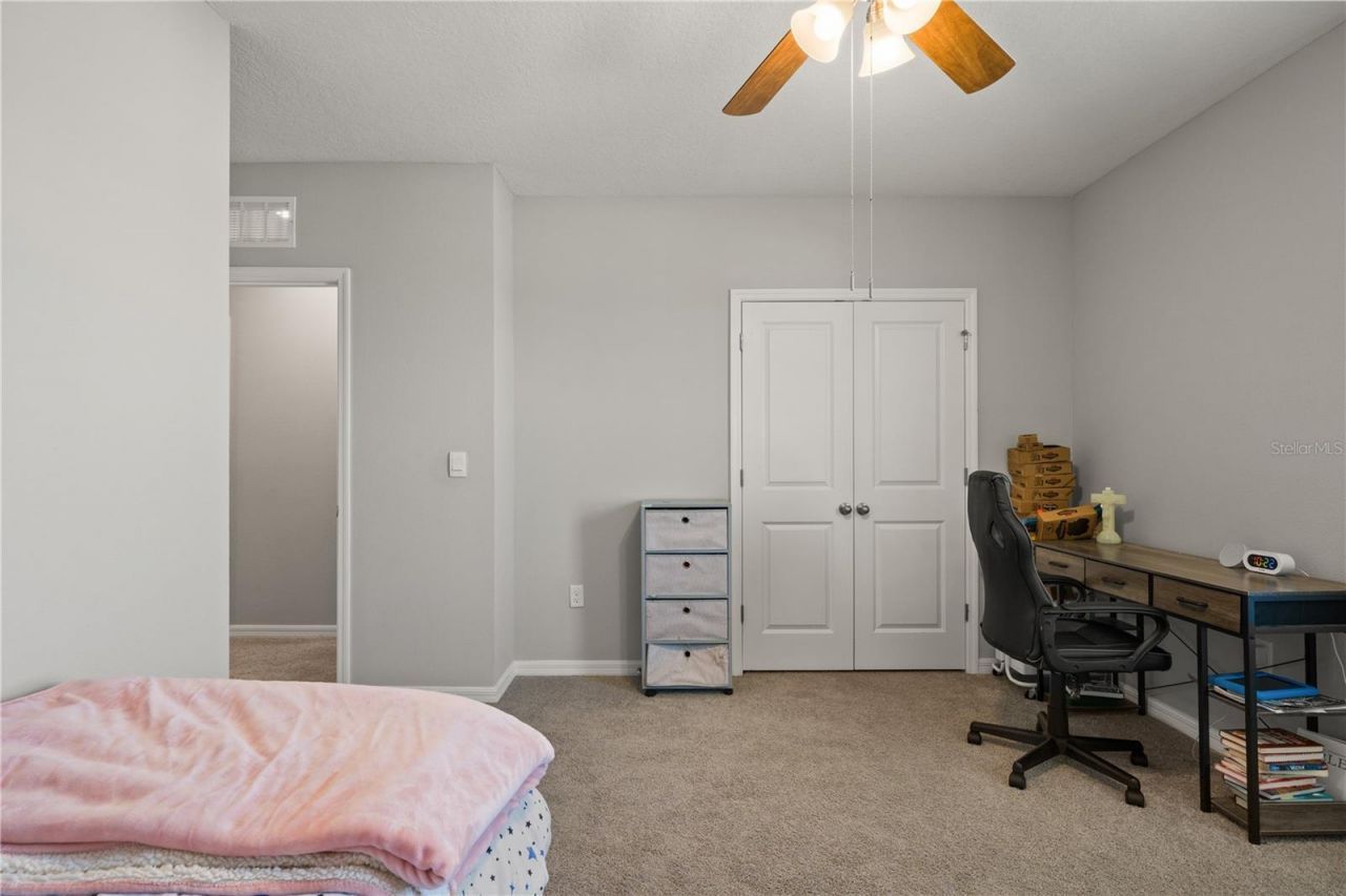 6199 Wandering Willow Drive, Wesley Chapel, FL 33545 Photo