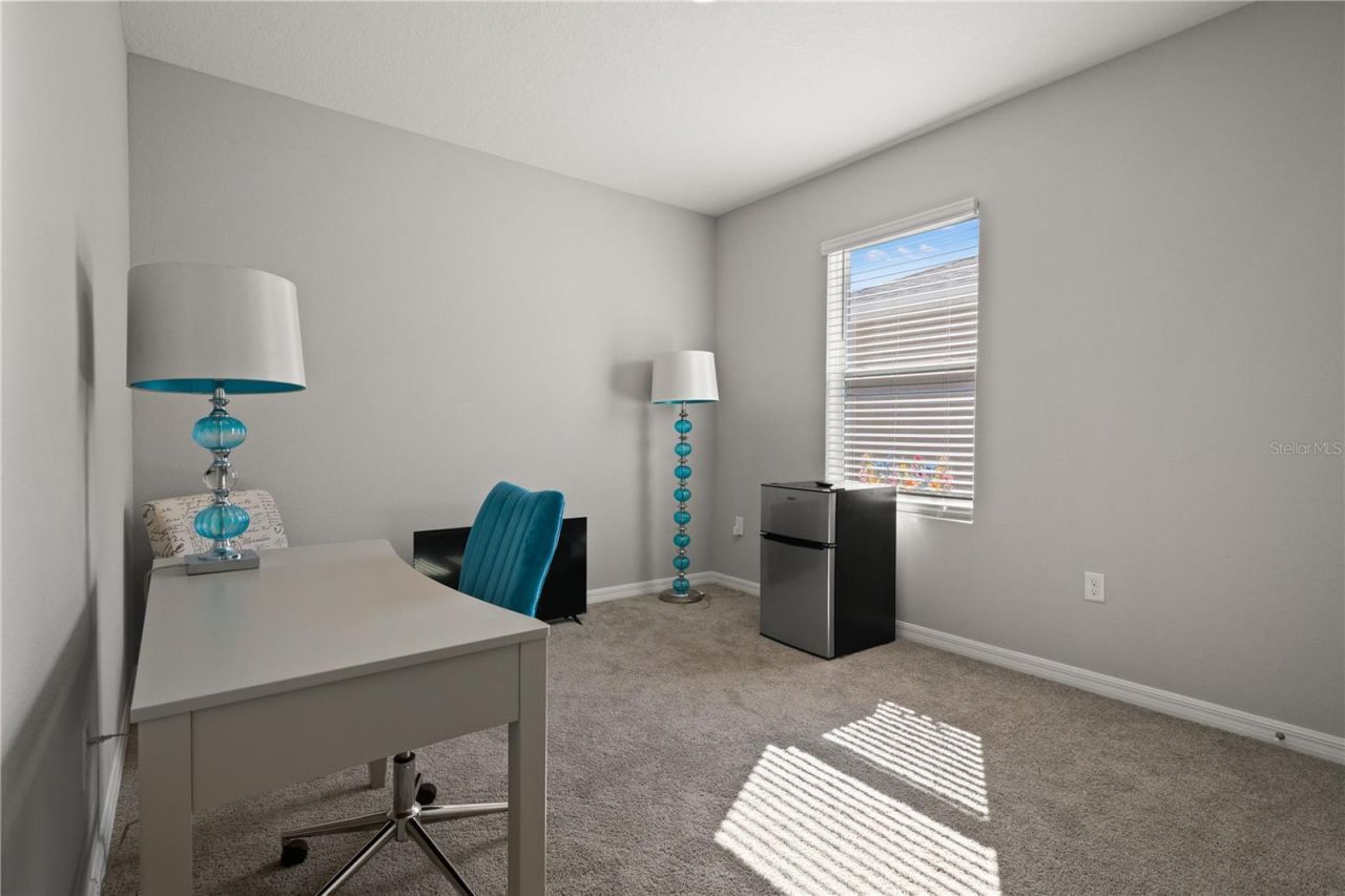 6199 Wandering Willow Drive, Wesley Chapel, FL 33545 Photo
