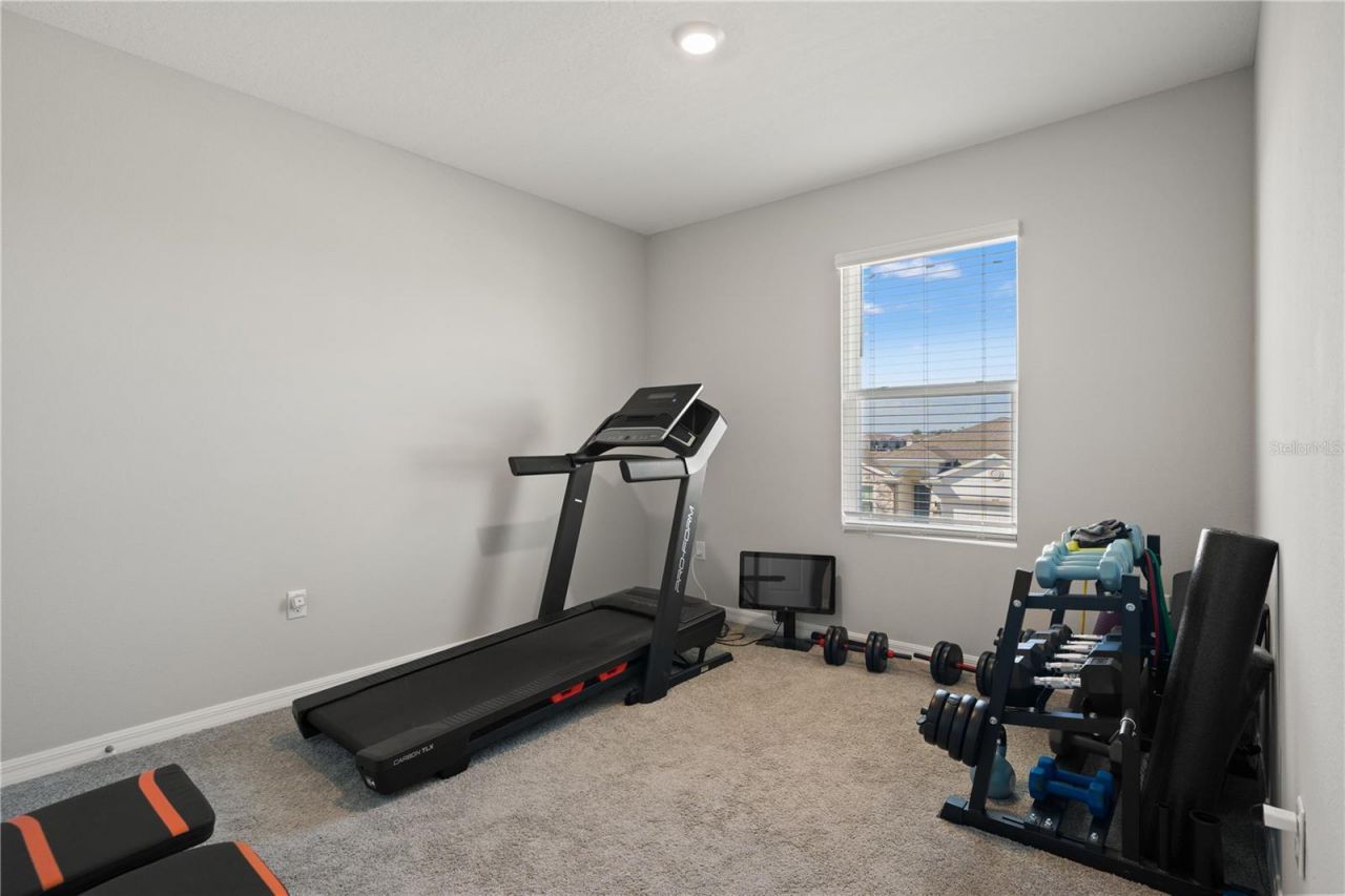6199 Wandering Willow Drive, Wesley Chapel, FL 33545 Photo
