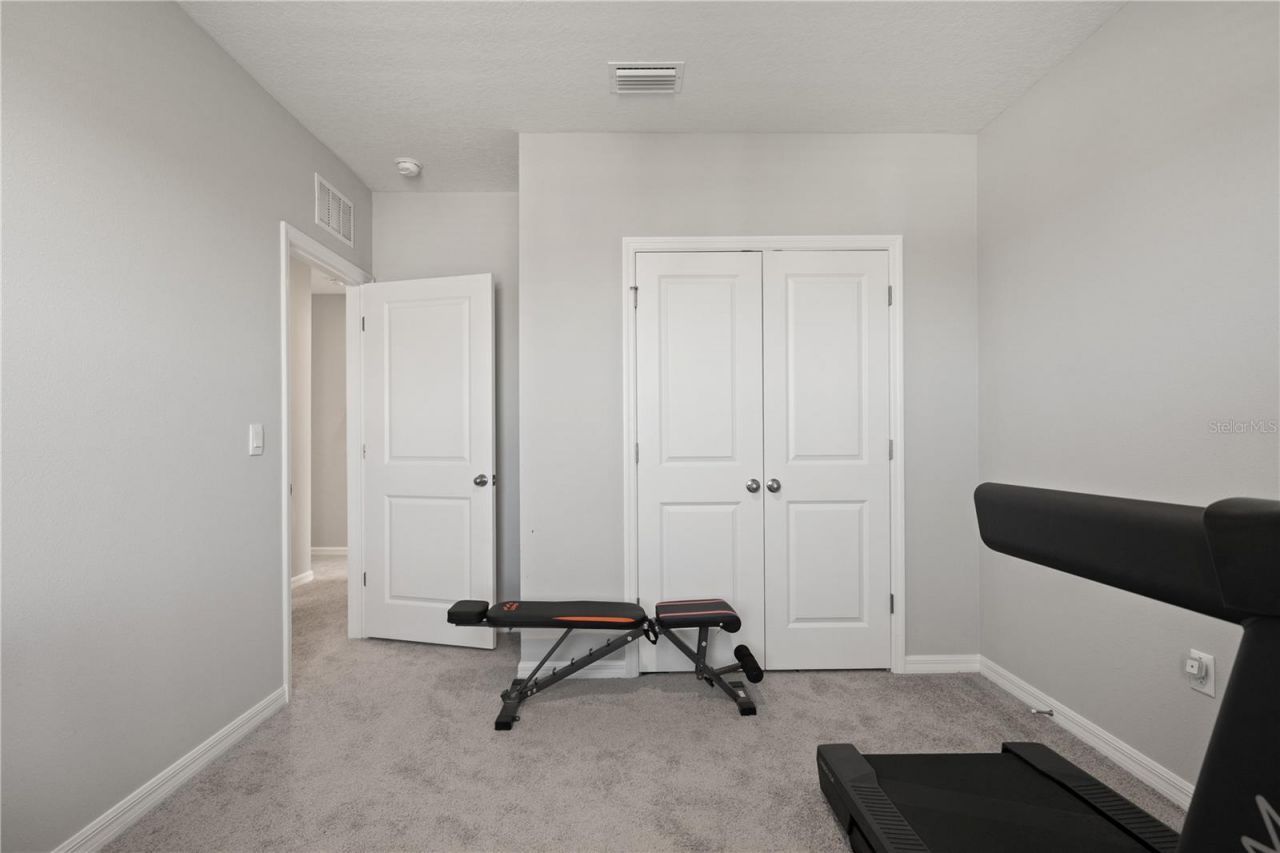 6199 Wandering Willow Drive, Wesley Chapel, FL 33545 Photo