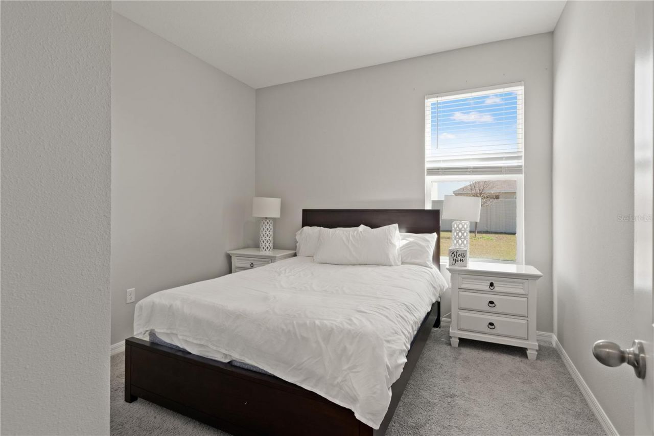6199 Wandering Willow Drive, Wesley Chapel, FL 33545 Photo