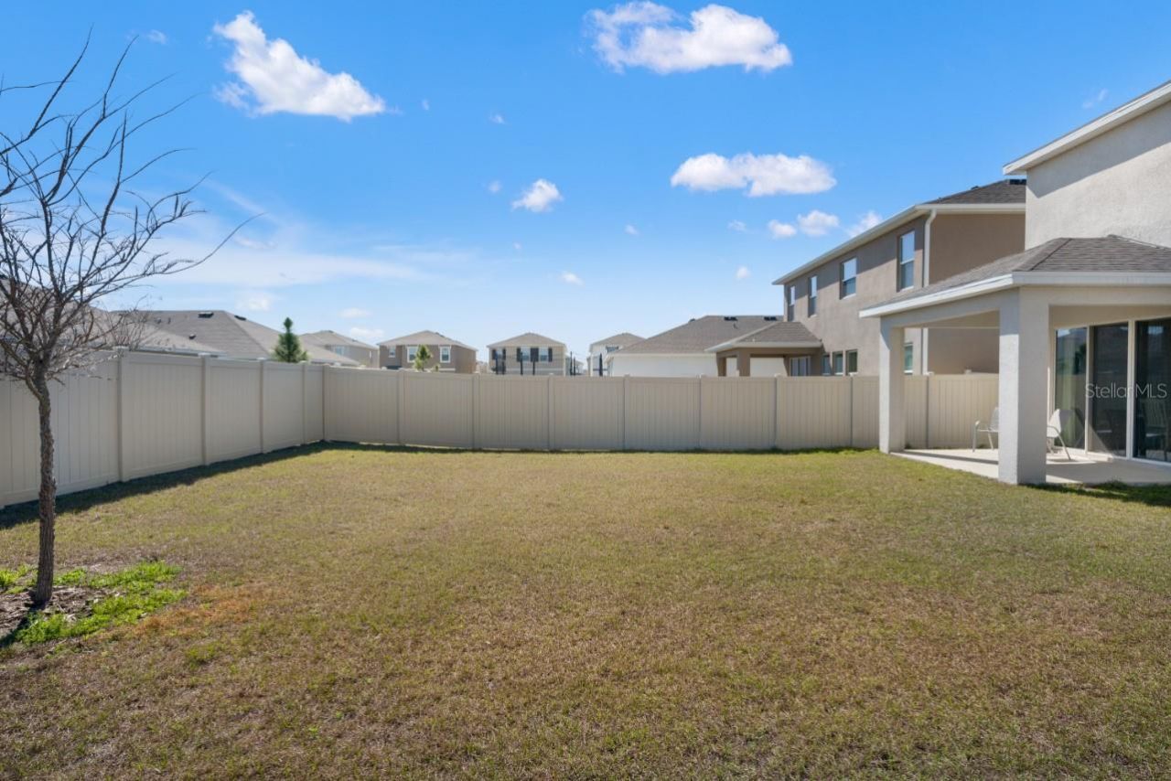 6199 Wandering Willow Drive, Wesley Chapel, FL 33545 Photo
