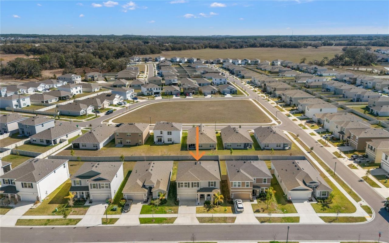 6199 Wandering Willow Drive, Wesley Chapel, FL 33545 Photo