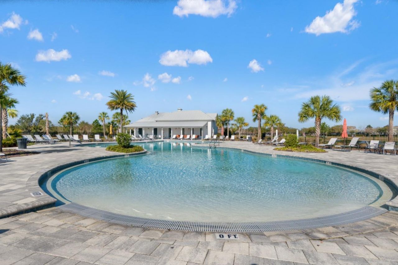 6199 Wandering Willow Drive, Wesley Chapel, FL 33545 Photo