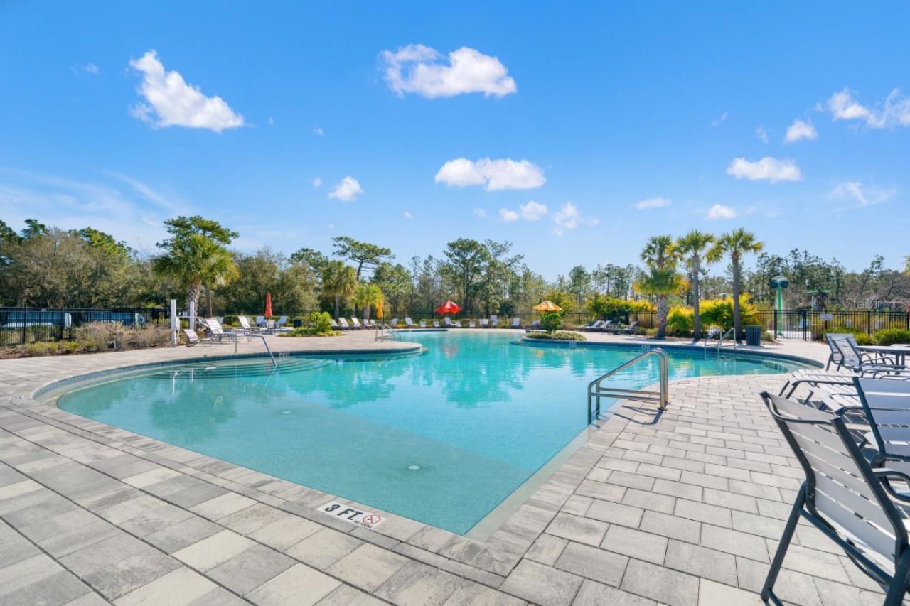 6199 Wandering Willow Drive, Wesley Chapel, FL 33545 Photo