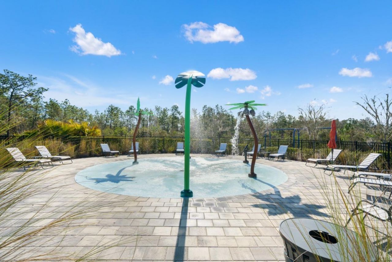 6199 Wandering Willow Drive, Wesley Chapel, FL 33545 Photo