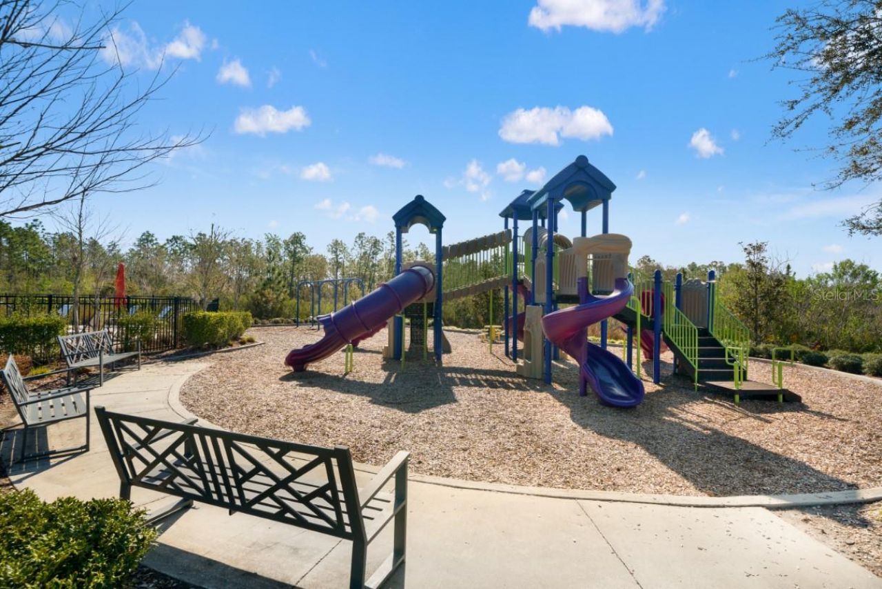 6199 Wandering Willow Drive, Wesley Chapel, FL 33545 Photo
