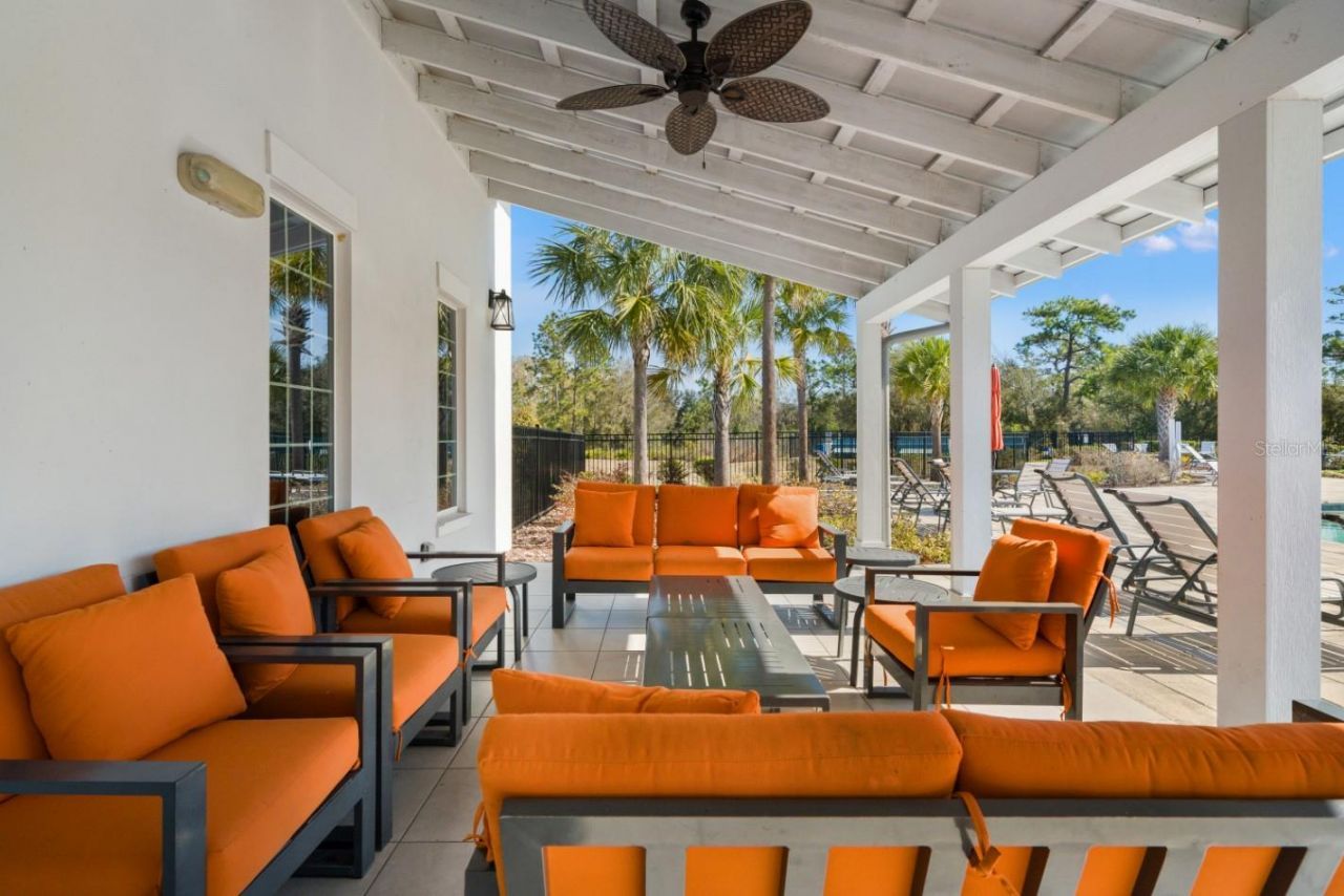6199 Wandering Willow Drive, Wesley Chapel, FL 33545 Photo