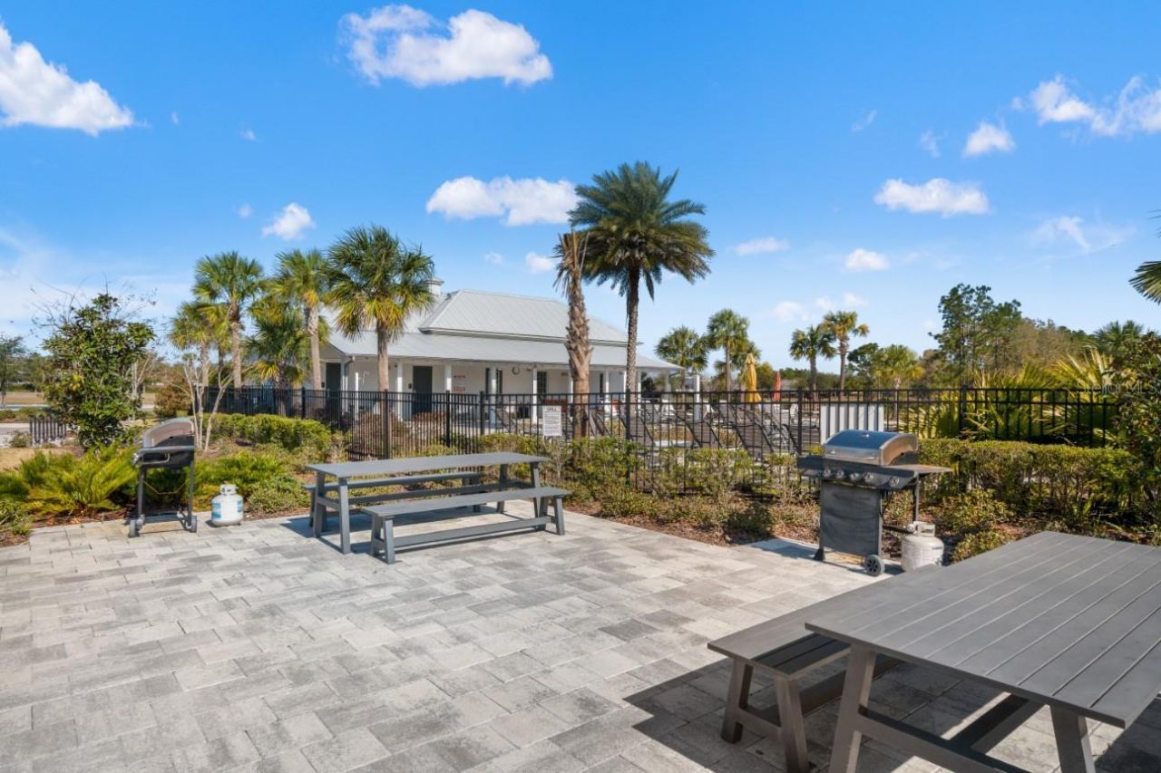 6199 Wandering Willow Drive, Wesley Chapel, FL 33545 Photo
