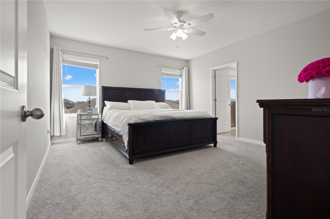 6199 Wandering Willow Drive, Wesley Chapel, FL 33545 Photo
