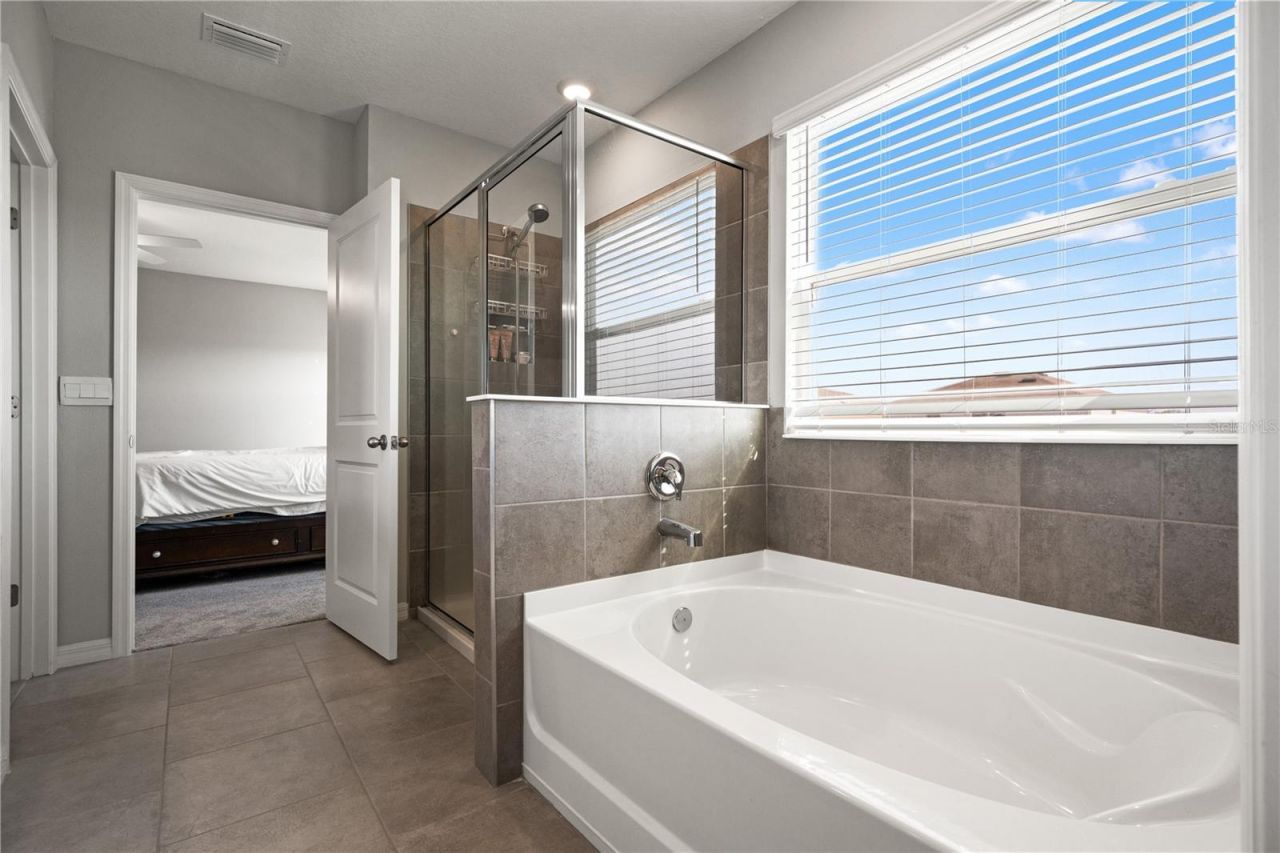 6199 Wandering Willow Drive, Wesley Chapel, FL 33545 Photo