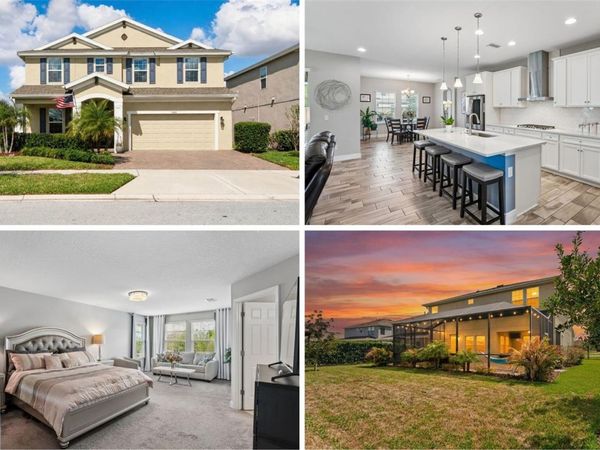 4124 CADENCE LOOP, LAND O LAKES, FL 34638