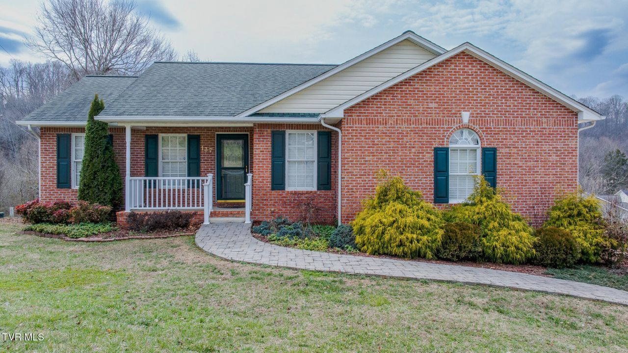 137 Meadow Springs Lane, Mount Carmel, TN 37645 Main Photo