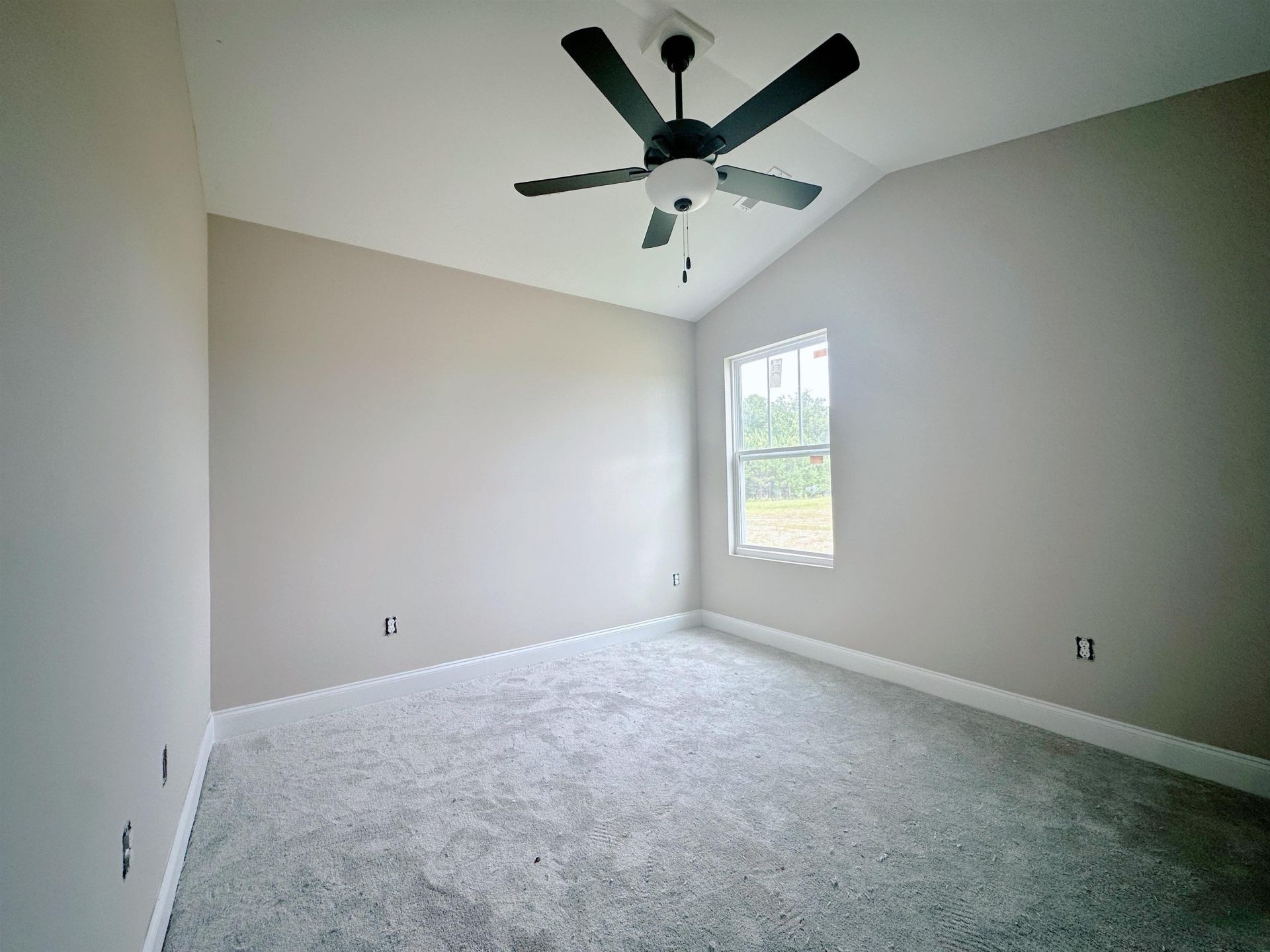 950 Padgett Lane Photo 7