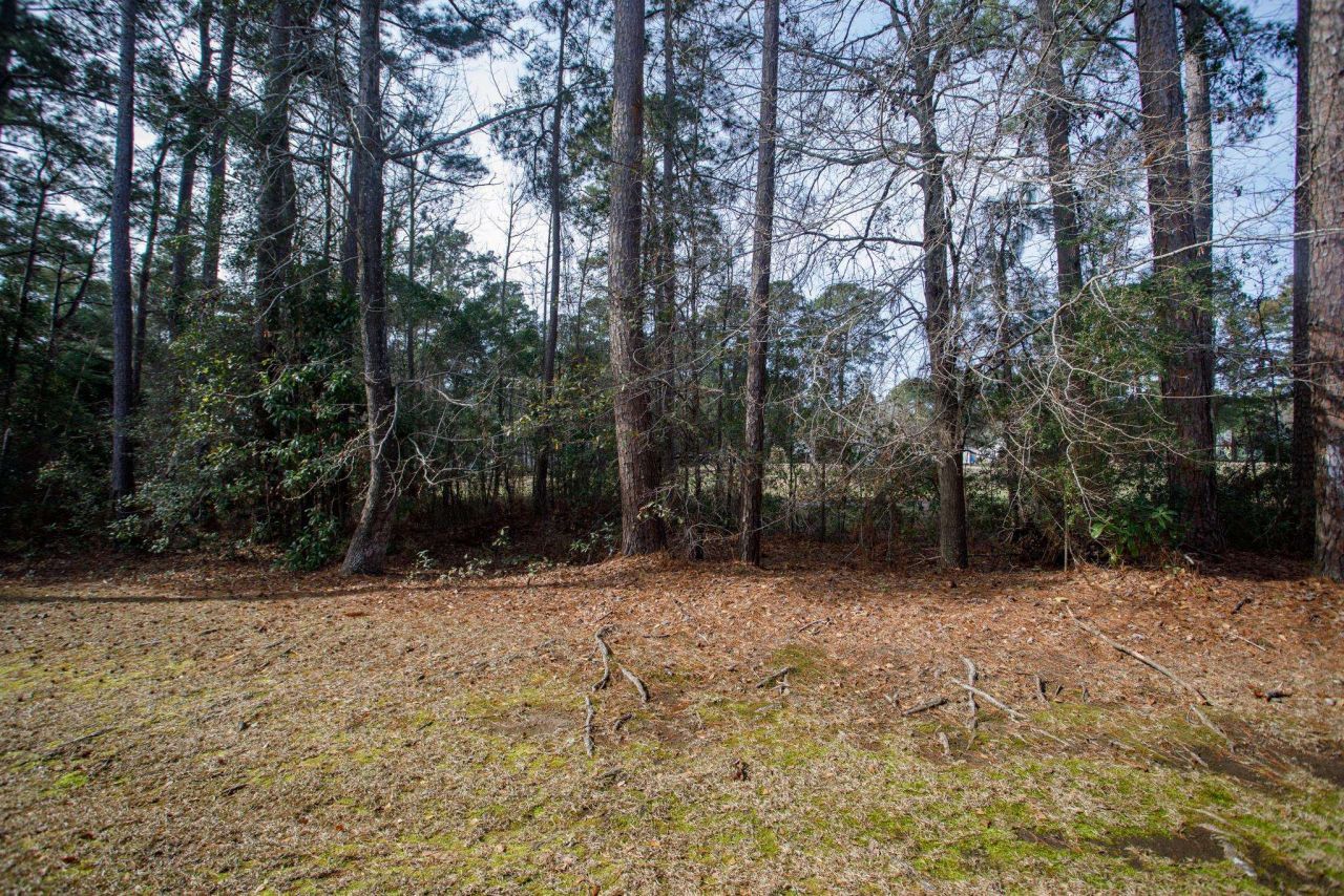 160 Lazy Willow Ln. Photo 34